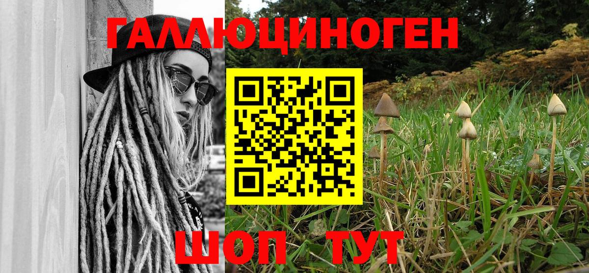 Псилоцибиновые грибы прущие грибы Кызыл