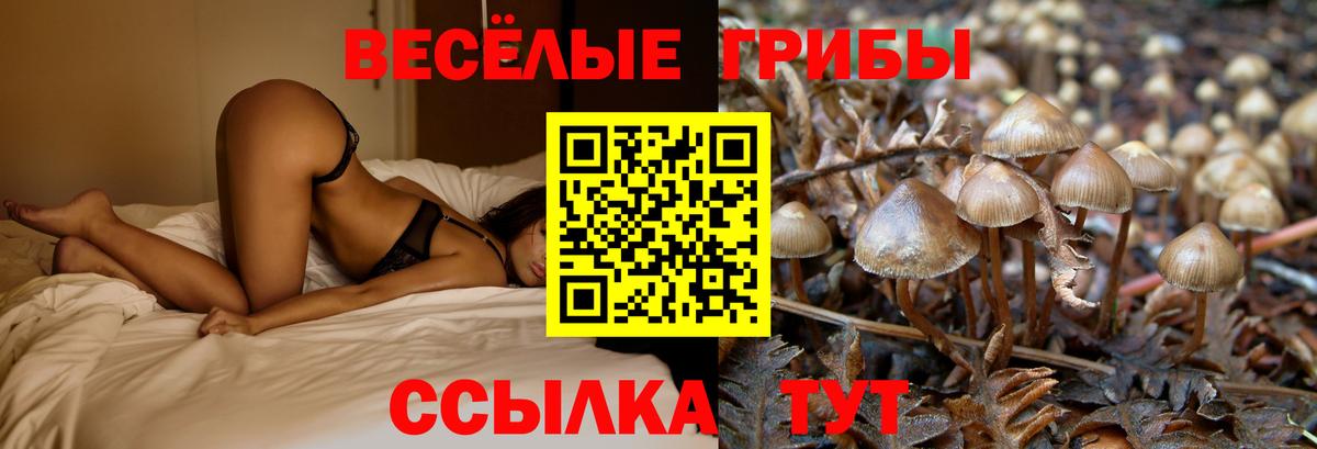 Кызыл  Псилоцибиновые грибы Magic Shrooms  Галлюциногенные грибы мицелий  Вход с VPN 